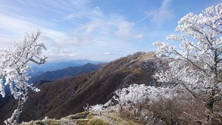 DSC_0420.jpg
