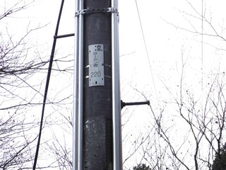 電柱.jpg